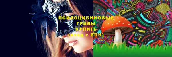 марки lsd Медногорск