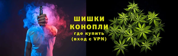 гашик Майский